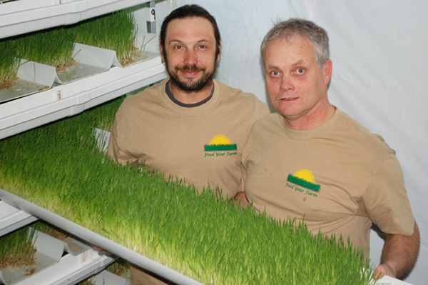 Organic Dairyandrewdykstra